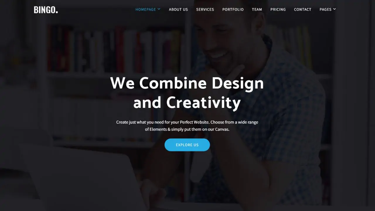 Bingo - Bootstrap Business Template
